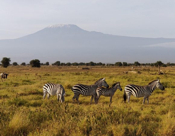 What to expect in Amboseli National Park.