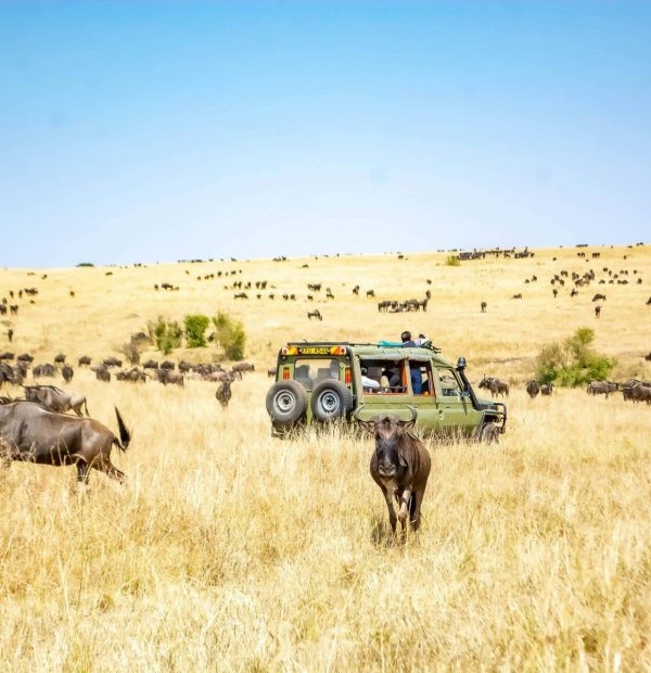 2 DAYS 1-NIGHT MASAI MARA GAME RESERVE