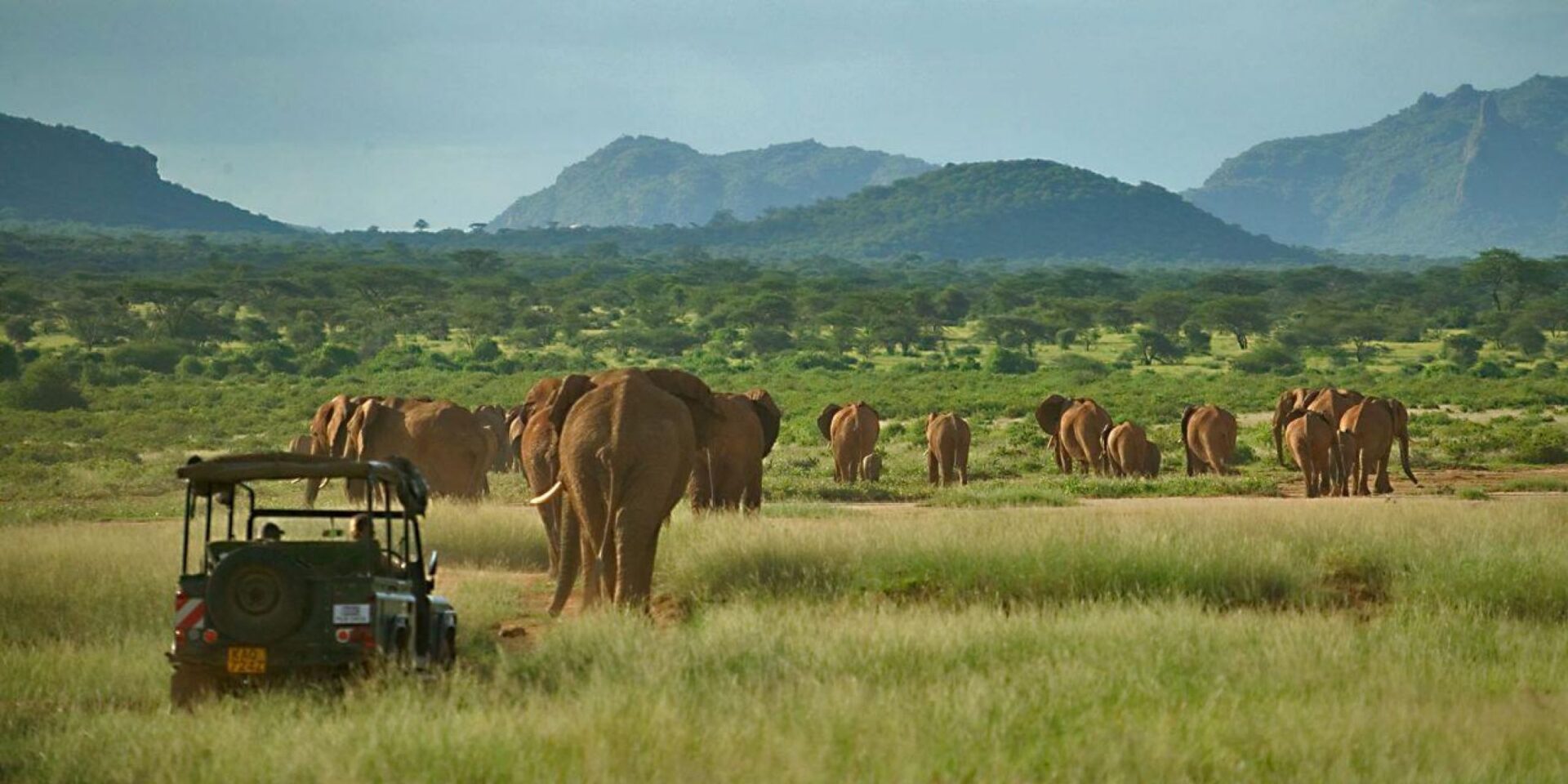 Kenya Luxury Lodge Safari (8 Days 7 Nights)